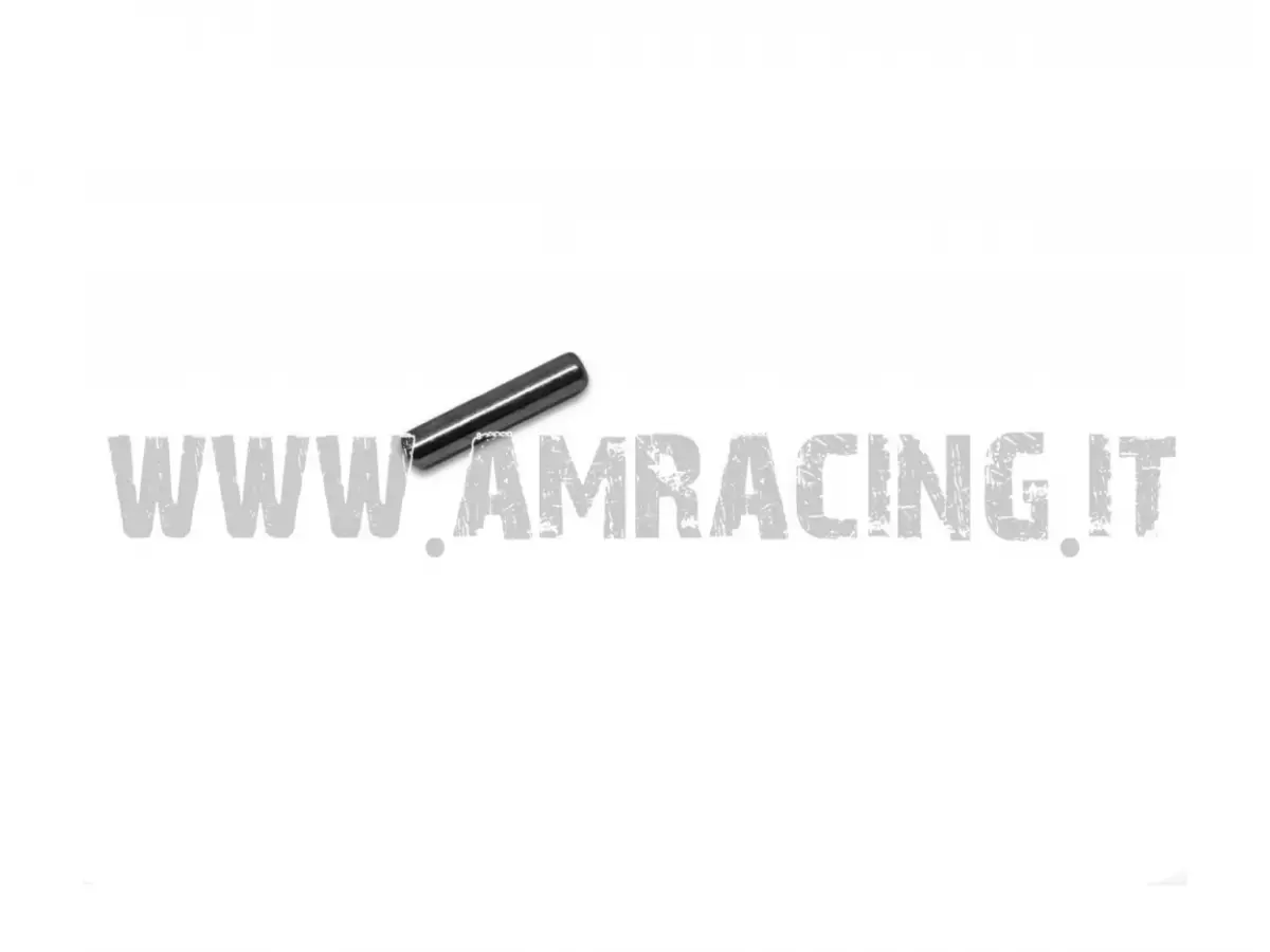 RODILLO D.5 X 19.8 G2 0 -0.010